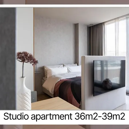 Apartman 348 Short *